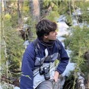 Profesor particular de Física nivel secundario y universitario